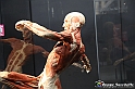 VBS_2628 - Mostra Body Worlds